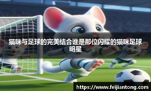 猫咪与足球的完美结合谁是那位闪耀的猫咪足球明星